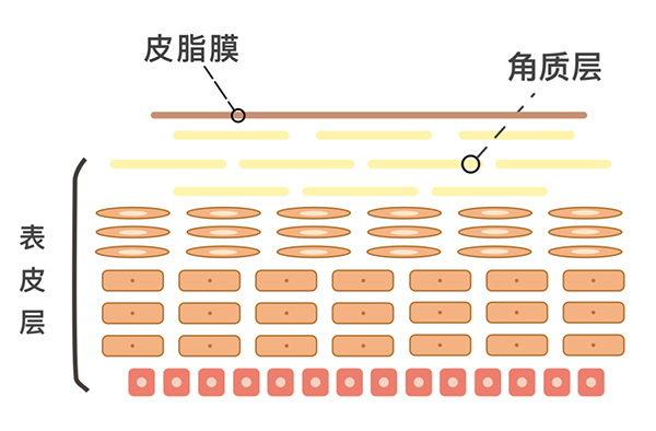微信圖片_20210414145952.jpg