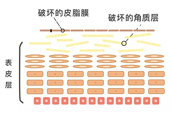 微信圖片_20210414145954.jpg
