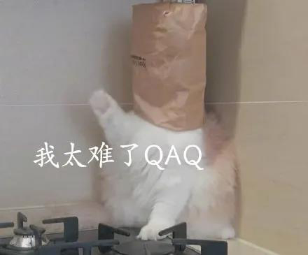 微信圖片_20210422114505.jpg
